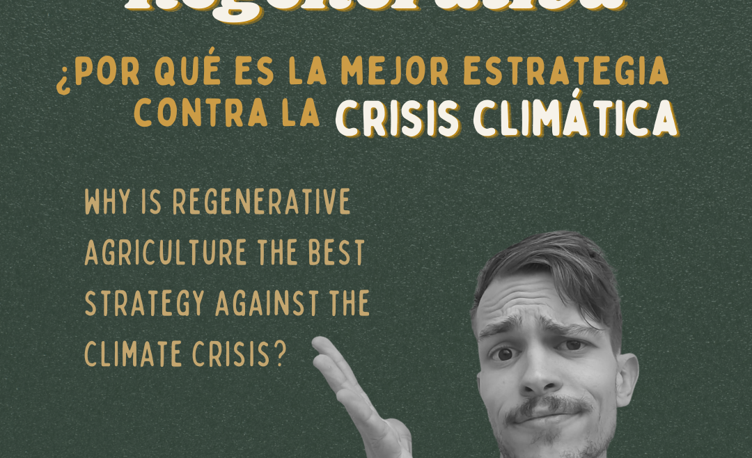 Agricultura regenerativa. ¿Por qué es la mejor estrategia contra la crisis climática?