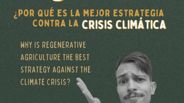 Agricultura regenerativa. ¿Por qué es la mejor estrategia contra la crisis climática?