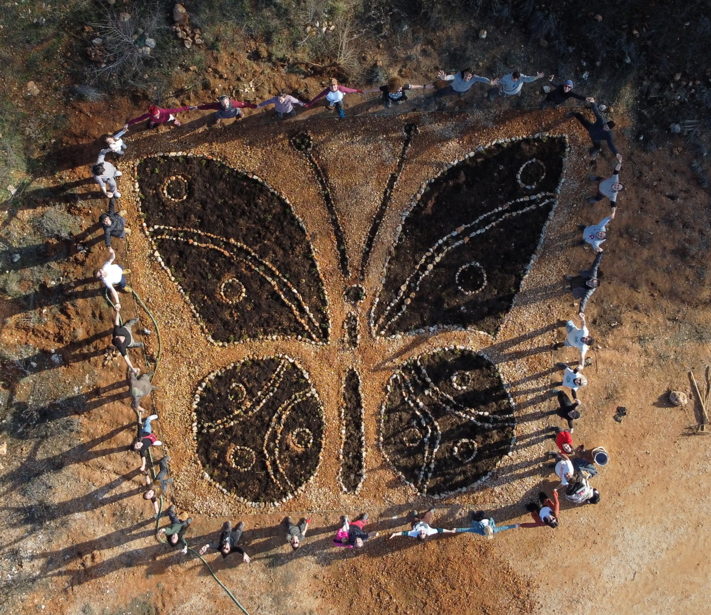 Mariposa de A Regenerar en La Chanta, Madrid